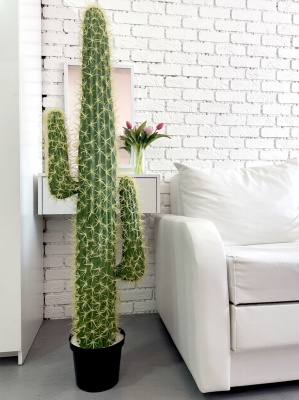 Кактус Мексиканский 140см