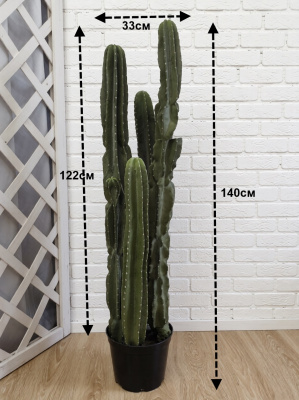 Кактус Эуфорбия индженс В140см