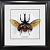 Жук - носорог №2000 Xylotrupes gideon